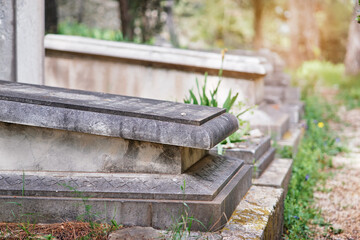 A row of old stone tombs in a cemetery, surrounded by greenery and sunlight.