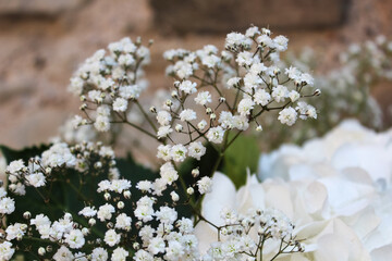 Marriage Decoration, Rapperswil - September 2016