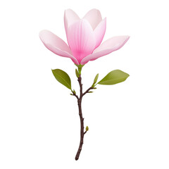 Elegant Magnolia Flower on a Branch in Full Bloom
