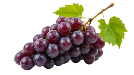 Fototapeta premium High-Quality Isolated Fresh Fruit on Transparent Background with Clear White Backdrop