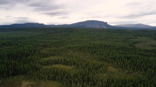 scandinavian forest and mountains 