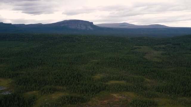 Lonlyness of Sweden 