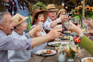 Senior friends toasting at outdoor garden party with food and wine