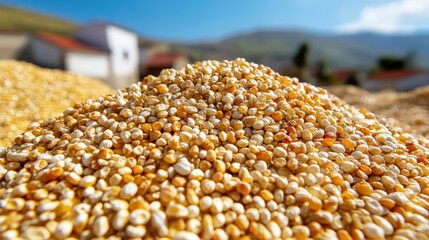 Pile of Golden Grains Under Clear Blue Sky