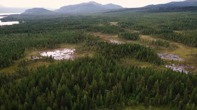 Sarek National Park