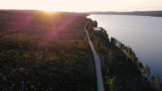 cinematic sunset over swedish forest
