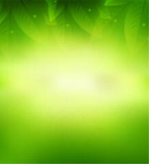 Green Leaf Background
