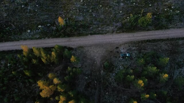 Top Down shot of Swedish forest during sunset