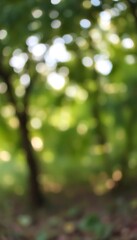 Obraz premium Generative AI A view of sunlight bokeh through the foliage in a green forest background with out-of-focus