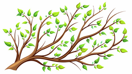 Waved twigs with small green leaves white background