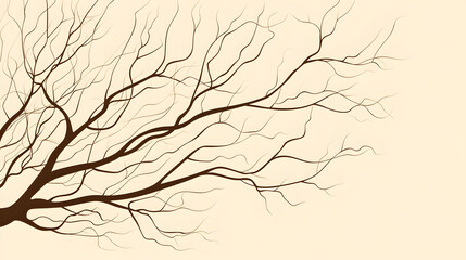 tree, nature, sky, silhouette, landscape, sunset, dead, trees, branch, branches, forest, wood, desert, old, sun, evening, sea, trunk, water