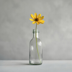Delicate Still Life of a Single Yellow Flower in a Clear Glass Vase Against a Soft Grey Background