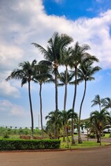 Maui, Hawai'i, USA