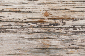 Fototapeta premium Weathered wood grey color background, old natural surface texture​ material​