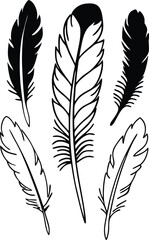 Set of Black Feather Illustrations Featuring Various Shapes And Sizes