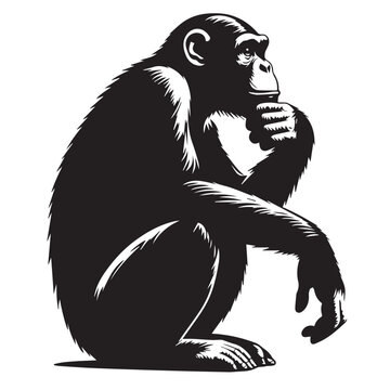 a chimpanzee reaching out silhouette vector design art and illustration, silhouette of chimpanse vector illustration. Chimpanzee silhouette, Vector illustration, Animal silhouette, Chimpanzee vectors.