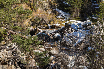 Mountain river flows in turbulent foaming stream in stone bed between huge boulders. Pure emerald water originates from mountain glaciers of North Caucasus. Dombay. Karachay-Cherkessia.