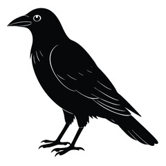 Vector, isolated black silhouette bird, crow collection, crow silhouettes, Raven bird logo vector template, Black silhouette of a crow on an isolated background,crow isolated on white, crow vector.