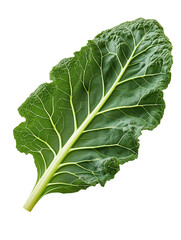 A fresh, vibrant green leaf showcasing intricate veins and a smooth texture.