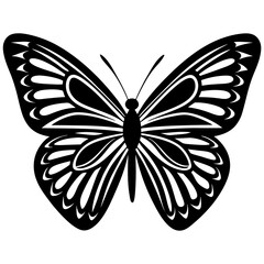 butterfly vector illustration