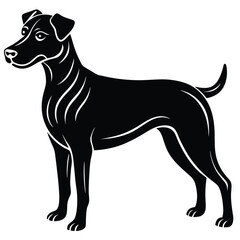 vector, isolated black silhouette of a dog, collection, Dog silhouettes, Vector black and white illustration of a sitting dog isolated on a white background, Dog Breeds silhouette set.