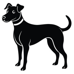 vector, isolated black silhouette of a dog, collection, Dog silhouettes, Vector black and white illustration of a sitting dog isolated on a white background, Dog Breeds silhouette set.