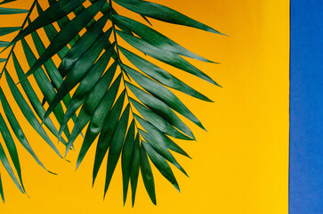 Green palm leaves on a bold yellow background create a vibrant. Tropical and minimalist contrast.
