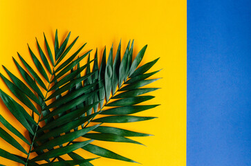Green palm leaves on a bold yellow background create a vibrant. Tropical and minimalist contrast.