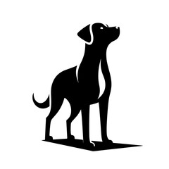 Dog Looking Up Silhouette - Black and White Vector Illustration