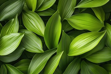 Obraz premium Lush Green Leaves Texture Background