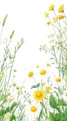 Watercolor wildflowers border on white