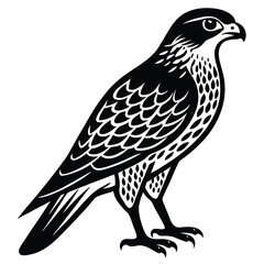Fototapeta premium Peregrine Falcon Silhouette Design, Peregrine Clipart Graphic, Peregrine Bird vector illustration in black and white, Peregrine Falcon Diving at High Speed Silhouette.