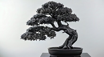An Azalea Bonsai, Focusing on Its Silhouette, Form, and Branch Structure, Ideal for Graphic Design