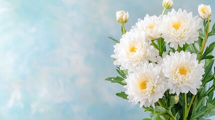 Obraz premium Spring flower flora arrangement nature background bouquet inspiration bright environment