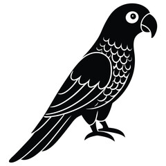 Fototapeta premium Parrot Macaw premium quality silhouette and line art vector illustration set, Parrot Macaw vector icon design, vector illustration of a parrot.