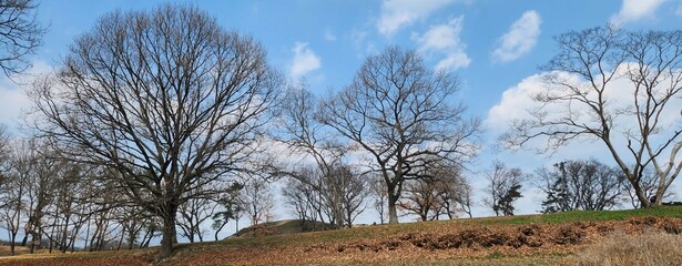 nature and Gyeongju (South Korea)