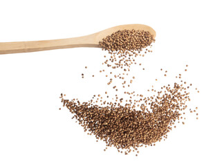 Coriander seed fall down from wooden spoon, brown coriander seed float explode, abstract cloud fly. Dried coriander seeds splash throwing in Air. White background Isolated high speed shutter