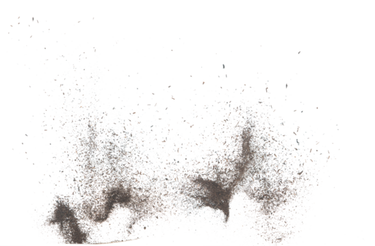 Black dried leave Tea explode. Small Fine size tea leaf flying explosion, Abstract cloud fly. Brown colored Teas splash throwing in Air. White background Isolated high speed shutter, throwing freeze