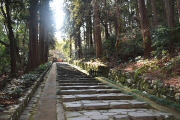 仙台の竹林の階段