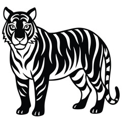 Set of big tigers. Collection of portraits of predatory wild cats. Set of wildlife and fauna dwellers. Vector illustration on a white background. Tattoo, Tigers - wild animals, vector design of tigers