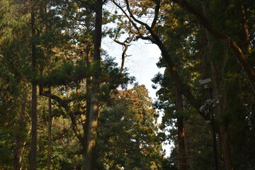 仙台　瑞鳳殿　風景