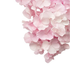 Obraz premium A close up of a bunch of pink flowers. The flowers are arranged in a way that they are overlapping each other, creating a sense of depth and dimension. Scene is one of beauty and elegance