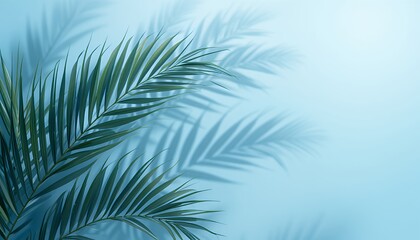 Abstract Tropical Shadows