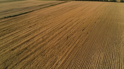 Fototapeta premium Aerial shot of geometric wheat field patterns, creating an artistic and visually stunning agricultural design, highlighting symmetry, texture, and rural beauty. 