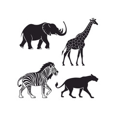 zebra and giraffe