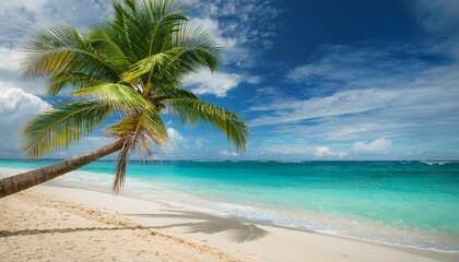 Obraz premium palm tree on a tropical seaside with blue ocean and cloudy sky