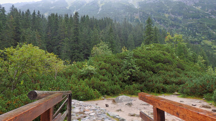 Pine forest surround Morskie Oko lake or Eye of the Sea lake at Tatra mountains, Tatra National Park, Poland. © Ummu
