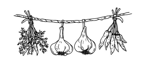 kitchen herbs and spices hanging on string black vector in hand made isolated design on white background © Kaz