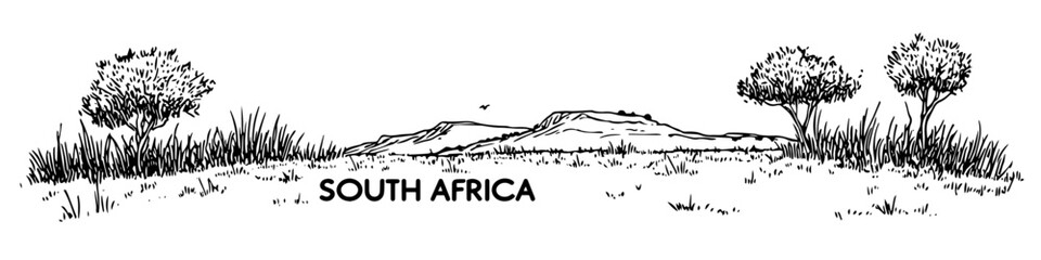 south africa savanna landscape with trees vector sketch illustration in ink doodle style hand drawing for engraving