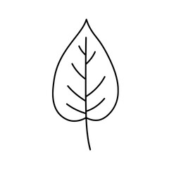 Leaf Sketch: A simple line drawing of a leaf.